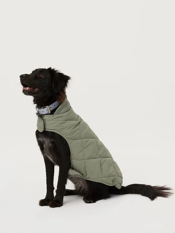 Flexible Jacket-The Skyline Dog Jacket in Vetiver Green