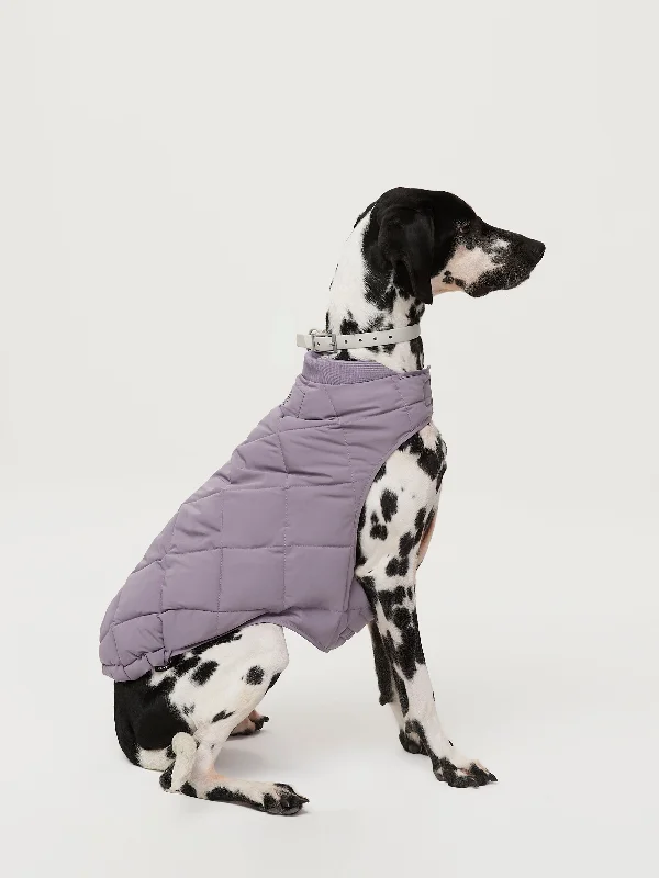 Waterproof Jacket-The Skyline Dog Jacket in Slate Violet