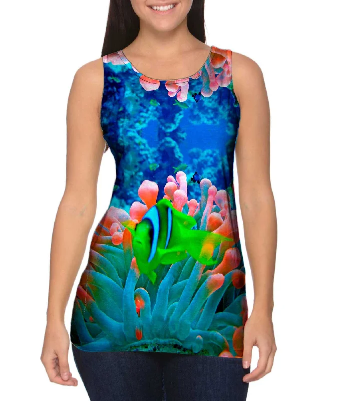 Cotton Vest-Red Sea Anemone Fish Underwater